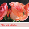 Wenskaart roos